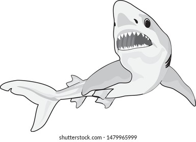 Color vector sketch of fish.