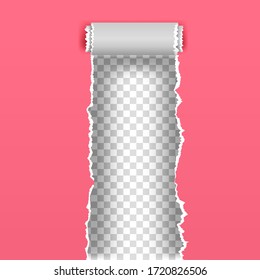 color vector torn paper with ripped edges and scroll. Paper frame for advertising and promo. Vector teared paper