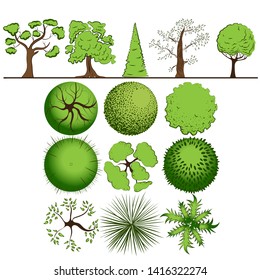 Color vector trees set with top and front view