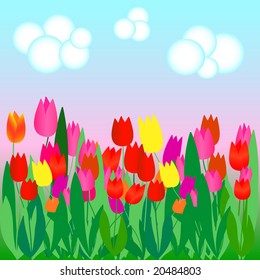 Color vector tulip field