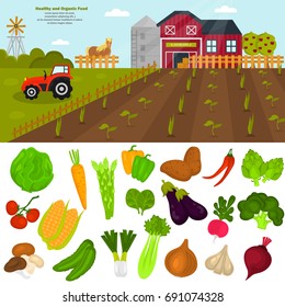 Color vegetables icons set. Farming color illustration for web and mobile design