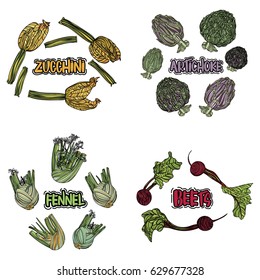 Color vegetables set. Isolated zucchini, artichoke, fennel, beet. Hand drawing vegan food. Vector illustration art. 