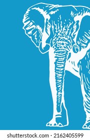 Color vertical cover with elephant and blue background,vector design for printing, text and design