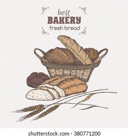 Color vintage bread basket template. Great for bakery, grocery stores, organic shops, food label design. 