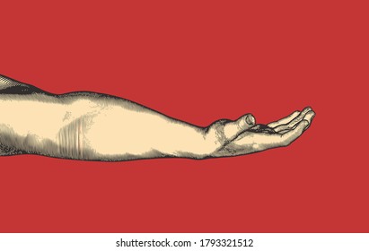 Color vintage engraved drawing big hand request or asking for debt gesture with lower arm vector illustration side view isolated on red background