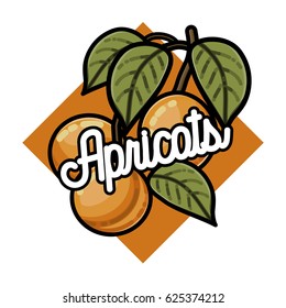 Color vintage fruits emblem