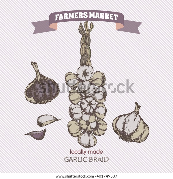 Color vintage garlic braid template. Farmers market\
series. Great for markets, grocery stores, organic shops, food\
label design. 