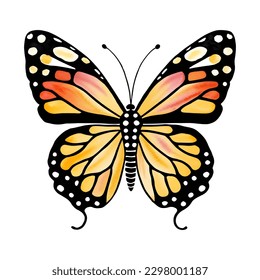 Color watercolor butterfly , isolated on the white background