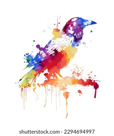 farbige Aquarellfarben Stift handgezeichnet zoo corvidae coronschwanz Feder Emblem Design Retro Art doodle Stift Cartoon bunten Druckstil. Farbkronenstift. Vektorgrafik