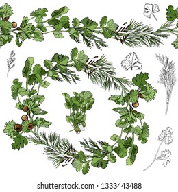 Color wreath and endless brush with color and monochrome herbs  with leaves and spices isolated on white background. Hand drawn ink sketch. Vector illustration.