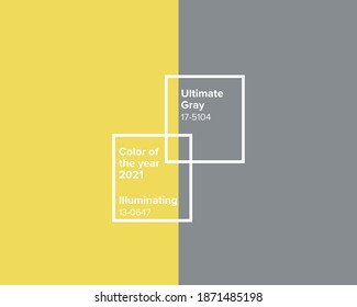 Color of the year 2021. Gray and yellow graphic design 2021