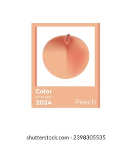 Color of the Year 2024. Peach fuzz. Vector