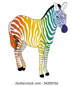 color Zebra