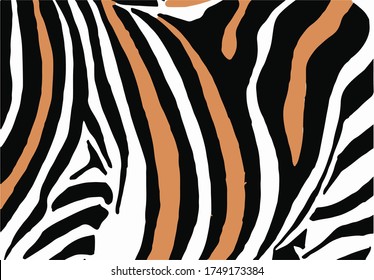 color zebra pattern, lined background,vector fashion art