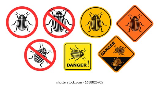 Colorado beetle danger sign. Isolated colorado beetle on white background