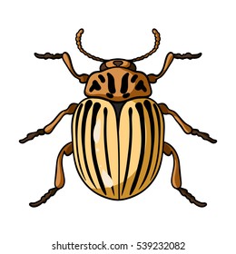 Colorado beetle icon in cartoon style isolated on white background. Insects symbol stock vector illustration.