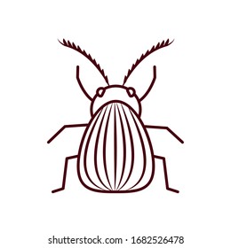 colorado beetle icon over white background, line style, vector illustration