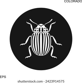 Colorado beetle logo. Isolated colorado beetle on white background