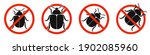 The colorado beetle with red ban sign. STOP colorado beetle sign isolated. Set of kill colorado beetle icons. Vector illustration.