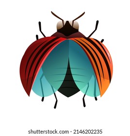 Colorado-Käfer. Objekt der Tierwelt. Vorbereitet für den Start und das Ausbreiten der Flügel. Kleines lustiges Insekt. Cute Cartoon Stil. Einzeln auf weißem Hintergrund. Vektorgrafik.