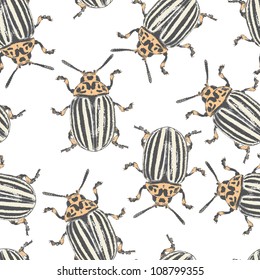 Colorado beetles - vector seamless texture eps8