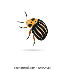Colorado bettle color icon