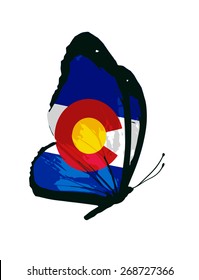 Colorado flag butterfly - vector