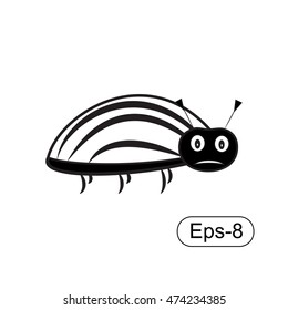 Colorado potato beetle