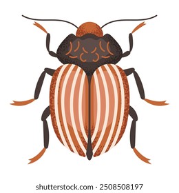 Escarabajo de la patata de Colorado, bicho marrón. Insecto colorido. Naturaleza y biodiversidad de especies de insectos. Ilustración plana de Vector de escarabajo.