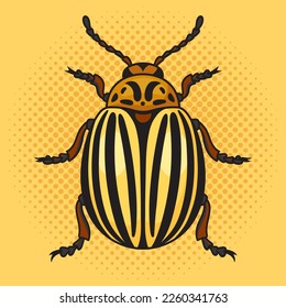 Colorado potato beetle bug pinup pop art retro vector illustration. Comic book style imitation.