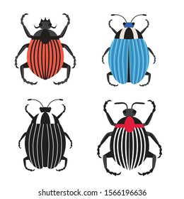 Colorado potato beetle or Colorado beetle flat design icons. Striped lined potato bug in different colors.
