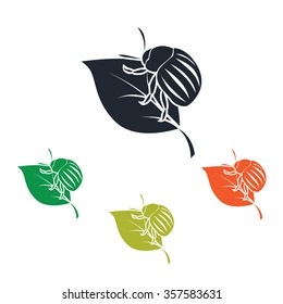 Colorado potato beetle icon