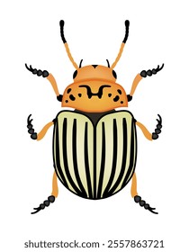 Colorado potato beetle, insect pest