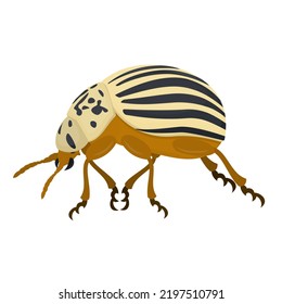 Colorado Potato Beetle Insect Vector Illustration Stock Vector (Royalty ...