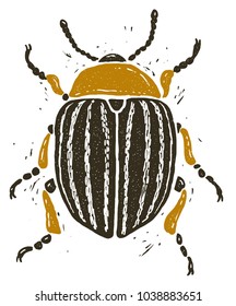 Colorado potato beetle linocut illustration, draw, ink, vector