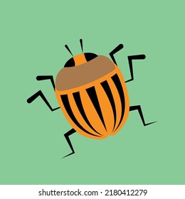 colorado potato beetle on a green background