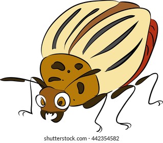 Colorado potato beetle - pest of potato crops