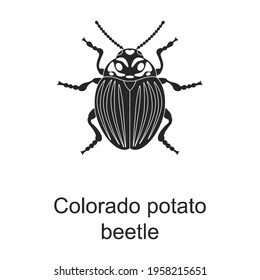 Colorado potato beetle vector black icon. Vector illustration pest insect colorado beeatle on white background. Isolated black illustration icon of pest insect.