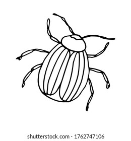 Escarabajo de papa de Colorado.Ilustración vectorial de un insecto. Un boceto al estilo Doodle. Objeto aislado sobre un fondo blanco.Dibujo de tinta de la fauna. Para colorantes y logos infantiles.