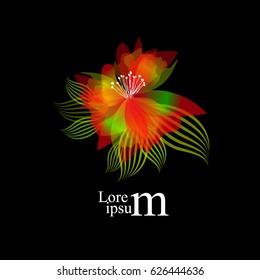 colored abstract flower. Vector