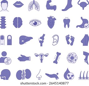 Colored Anatomy Icon Set. Vector Illustrations Head, Eye, Nose, Mouth, Ear, Arm, Leg, Spine, Lungs, Kidneys, Stomach, Liver, Hair, Brain, Heart, DNA, and More