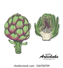 Colored artichoke in sketch style. Vector illustration for your design