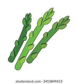 A colored asparagus icon with a black outline. Delicious and healthy asparagus. Vegetarianism. Vector illustration.