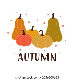 tarjeta de otoño de color con calabazas lindas y letras aisladas en fondo blanco, plantilla de otoño, diseño plano