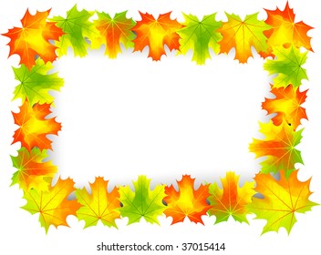 Colored autumn leafs on the frame