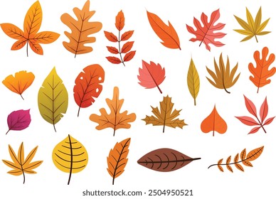 Colored autumn leaves isolated on white