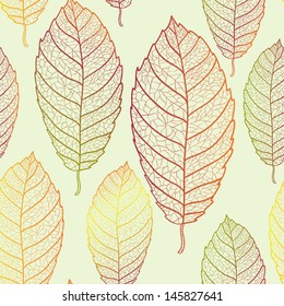 Colored autumn transparent leaves pattern. Light  background.