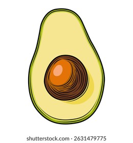 Colored avocado slice with pit isolated on white background. Tropical summer fruit vector hand drawn illustration. Detailed food drawing for label, poster, print