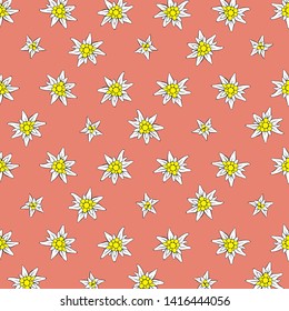 colored background Alpine edelweiss pink
