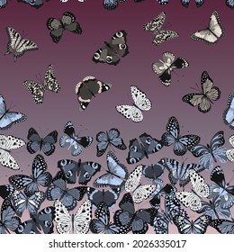 Colored background with butterflies.Colored gradient background with butterflies in a seamless pattern.